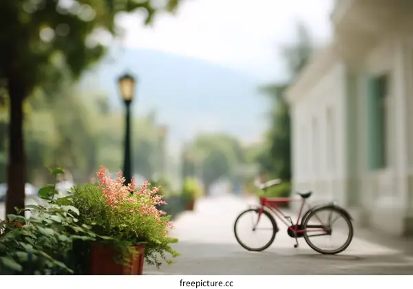 A Summer Daysidewalk Scene with a Bicycle