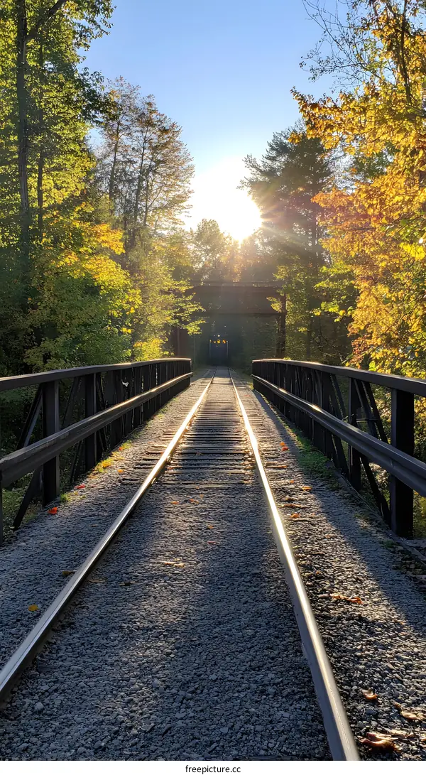 Railway Tracks Leading Through Autumn Forest