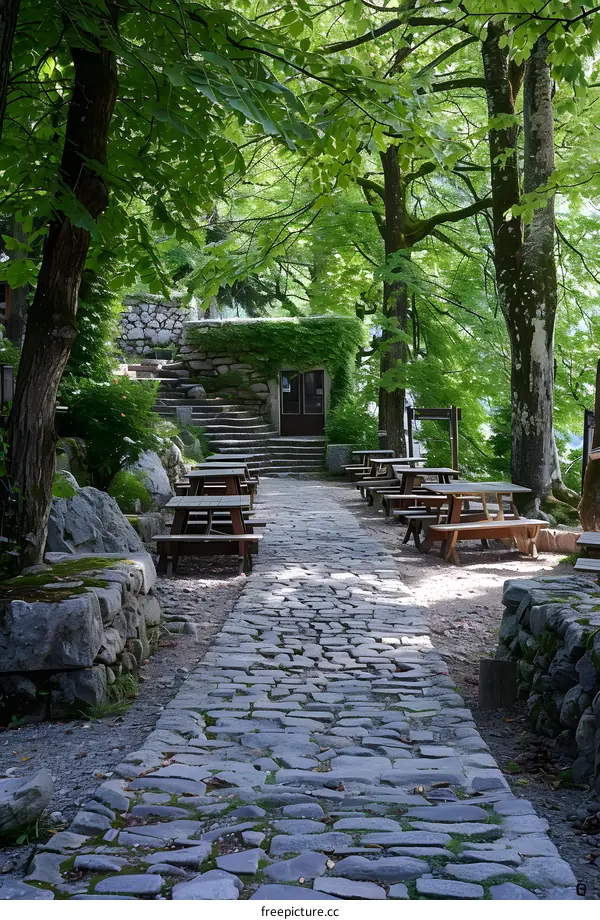 Stone Path Through Lush Forest With Wooden Benches
