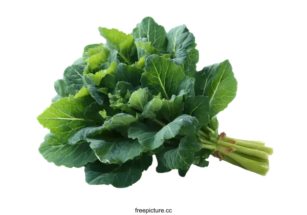 [Transparent Background PNG]Fresh Green Leafy Vegetable Produce
