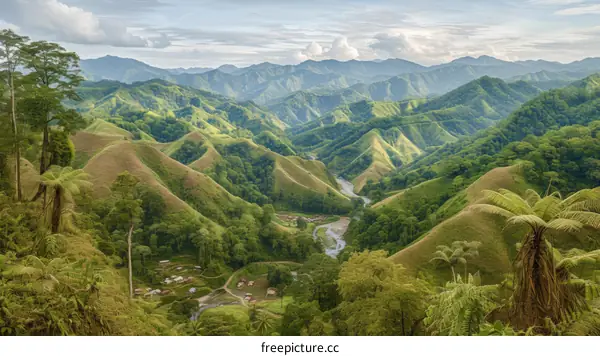 Aerial View of Verdant Valley Laced by Serene River