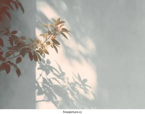 Shadow Play on Light Gray Wall with Branches