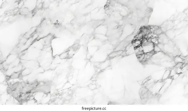 Black and White Marble Texture