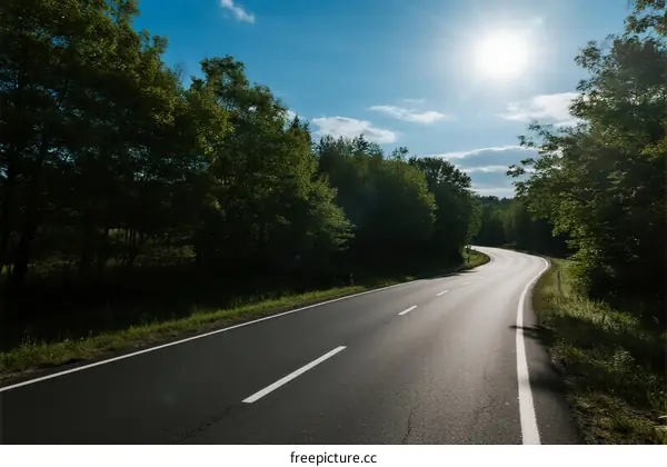 A winding road surrounded by lush green trees under a bright sun