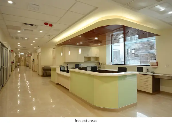 Modern Hospital Reception Area Interior Design