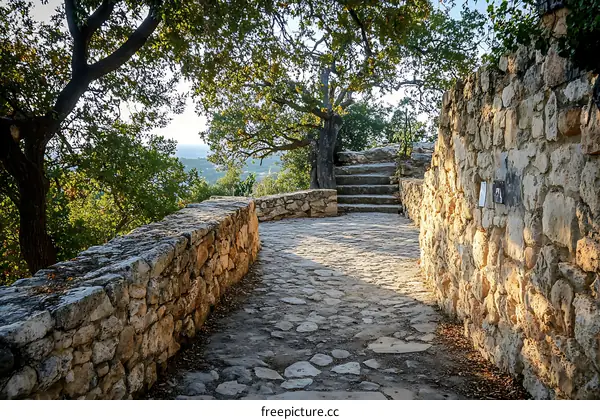 Stone Path Leading to a Stone Wall with Tree in the Background