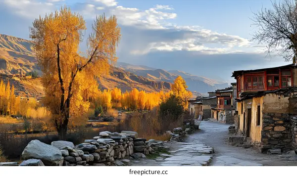 Autumn Colors in a Mountain Village