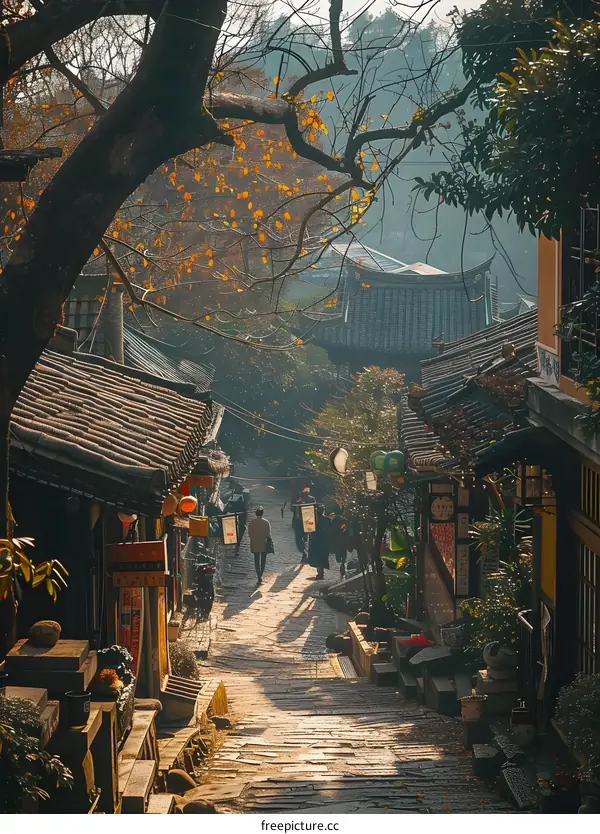 Cobblestone Street in Ancient Chinese Town