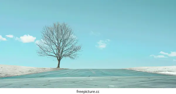 Lonely Tree on a Snowy Road