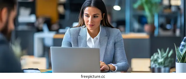 Businesswoman Working On Laptop In Office