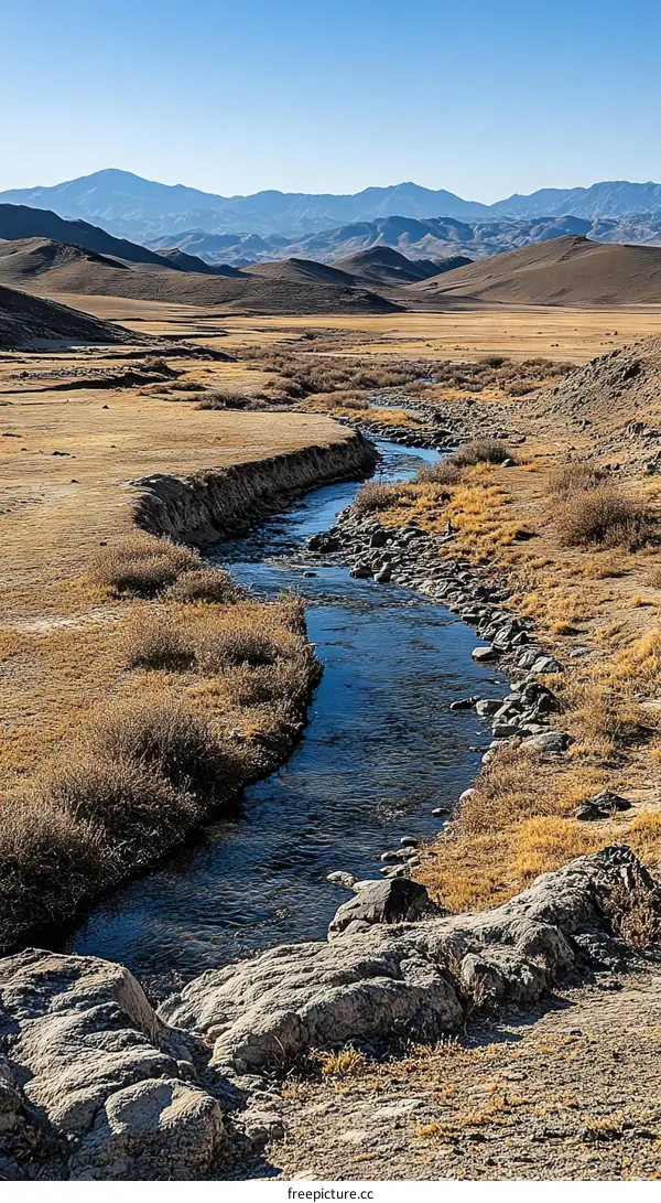 Mountain Stream in a Dry Valley