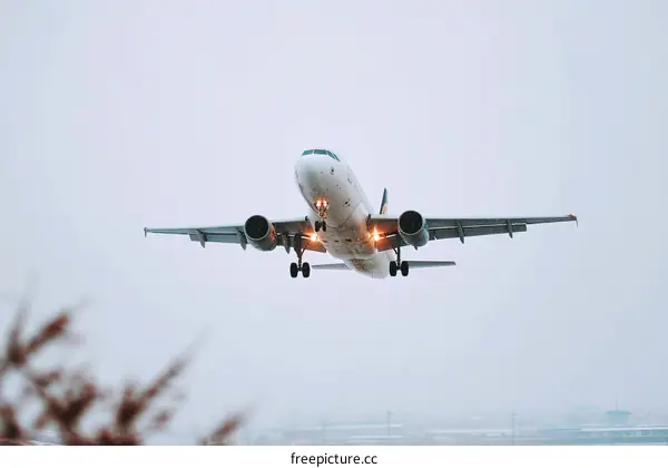 Airplane Landing in Cloudy Weather