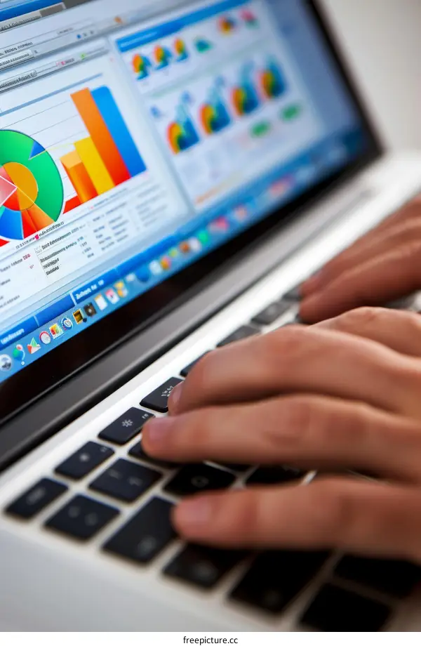 A business person analyzing financial data on a laptop computer.