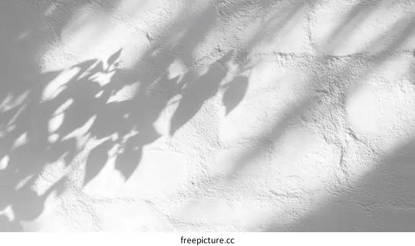 Elegant Shadow Play on White Wall