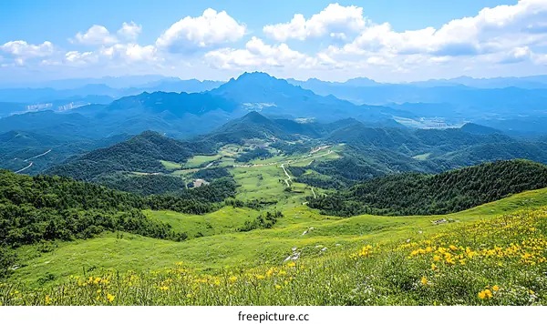 Panoramic Mountain View with Lush Greenery and Flowers
