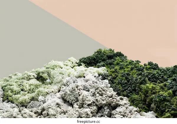 Green Moss Background Texture Nature