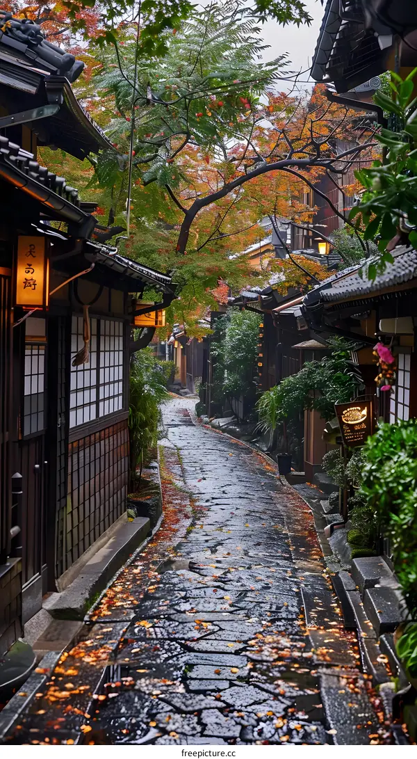 A rainy day in a traditional Japanese town
