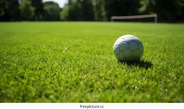Empty Soccer Goal with Ball on Grass