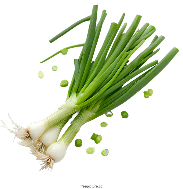 [Transparent Background PNG]Green onions on a white background