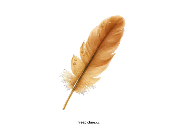[Transparent Background PNG]A Detailed Illustration of a Light Brown Feather