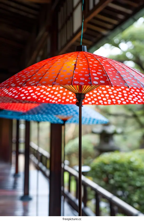 Red and blue paper lanterns with polka dots hanging from a wooden structure with a blurred background of trees.