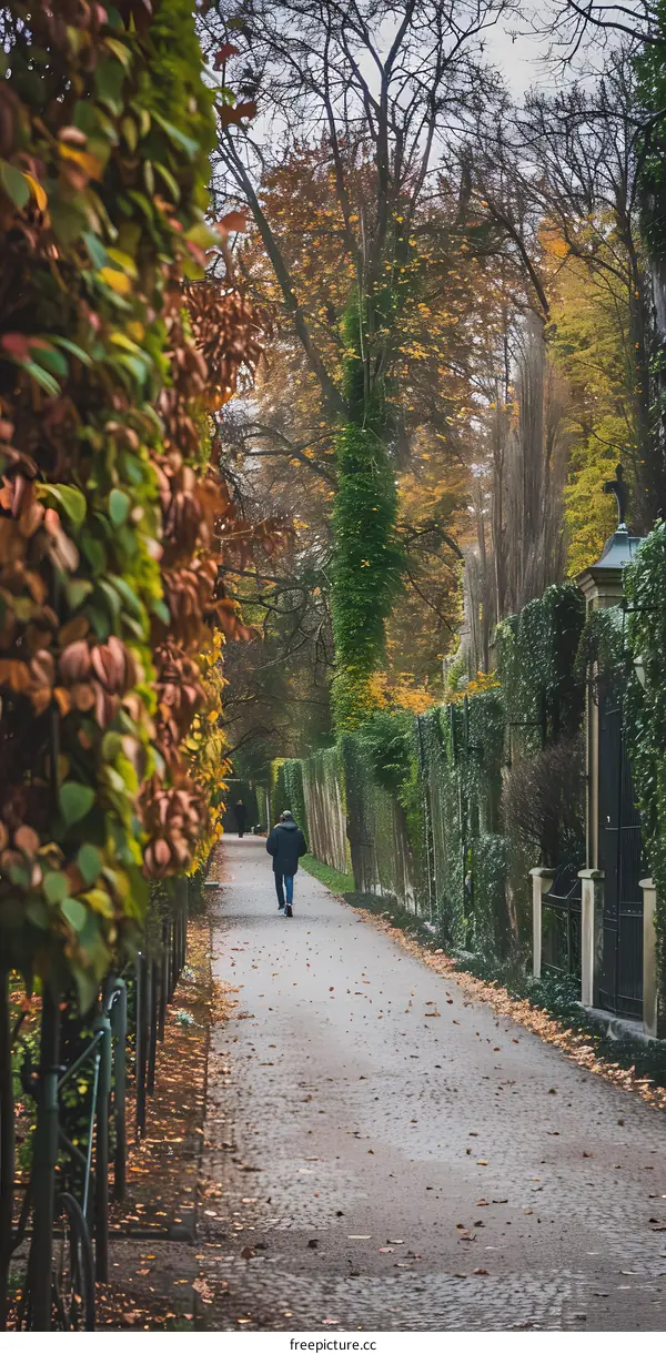 Autumn Path in the Park With Man Walking