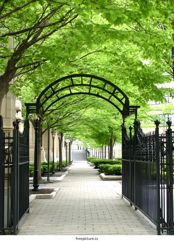Brick Pathway Through Green Trees and Iron Gate