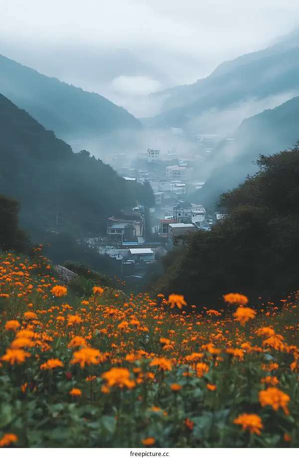Mountain Village Scenery With Orange Flowers