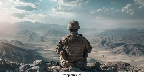 Soldier looking out over a vast mountain range