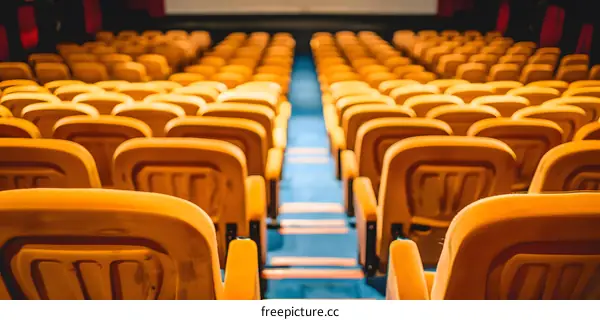 Empty Movie Theater Seats Rows