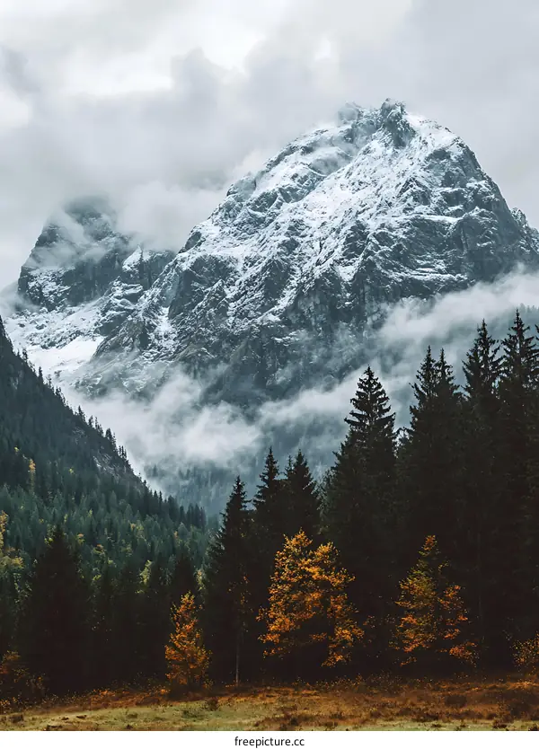 Mountain Peak Covered In Snow And Fog
