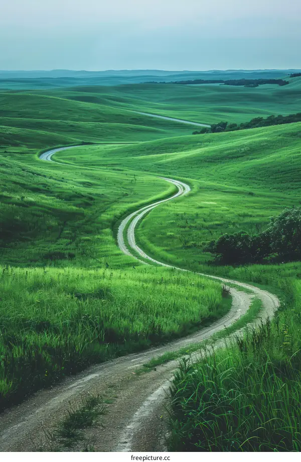 Curving Road Through Green Grassy Hills