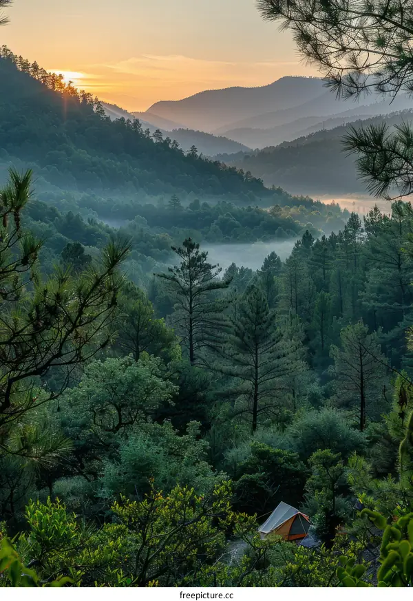 Sunrise Camping in Lush Mountain Landscape