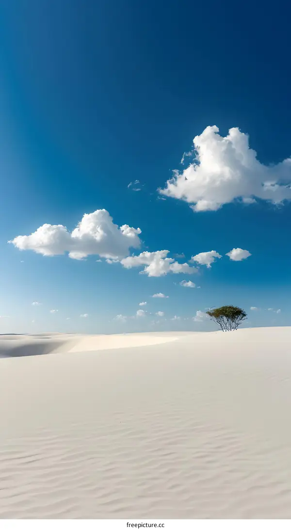 Single Tree in White Sand Desert Under Blue Sky with Clouds