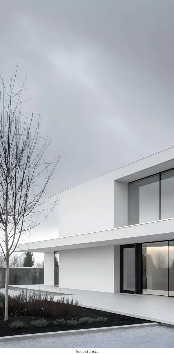 Minimalist Modern House with Glass Windows and a Tree