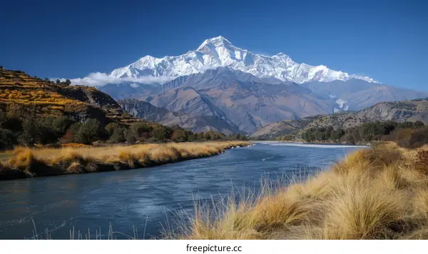 The snow-capped mountain stands behind the river with yellow grass field in the foreground