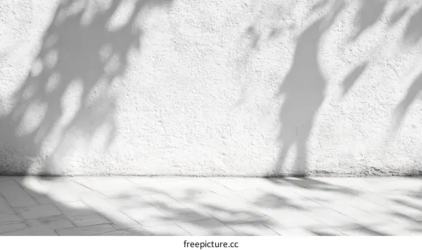 White Wall with Shadow of Branches