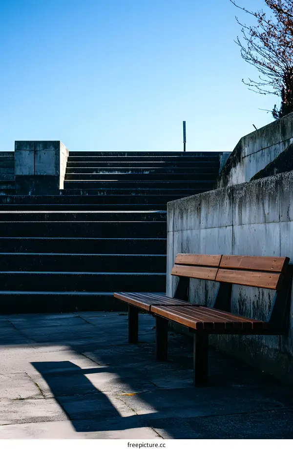 Concrete Steps and Wooden Bench on a Sunny Day