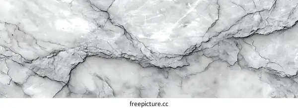 Elegant Gray and White Marble Texture Background
