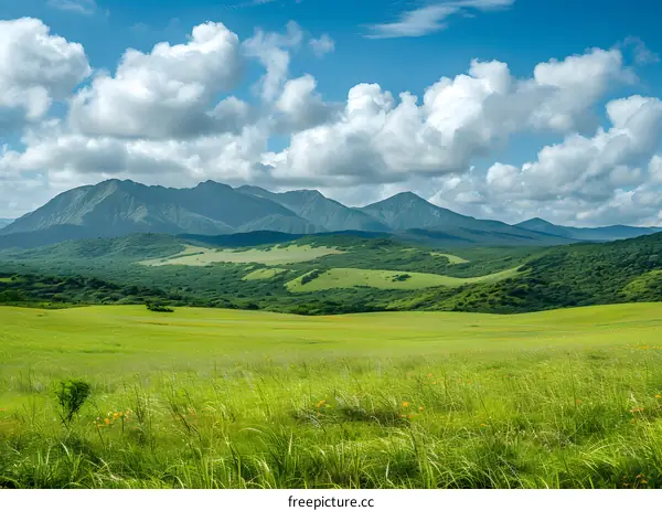 green field with mountain and blue sky