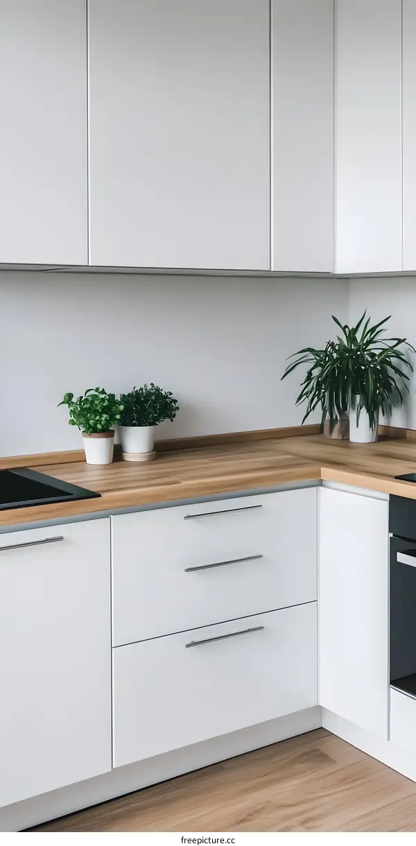 White Kitchen Cabinet Countertop with Plants