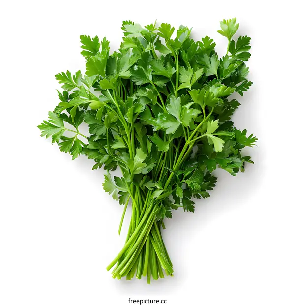 A bunch of fresh green parsley