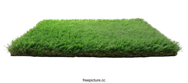 [Transparent Background PNG]Artificial Grass Panel for Landscaping