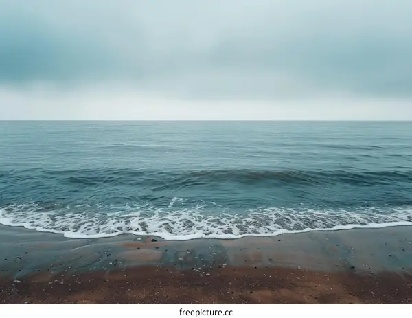 Gray sea and beach