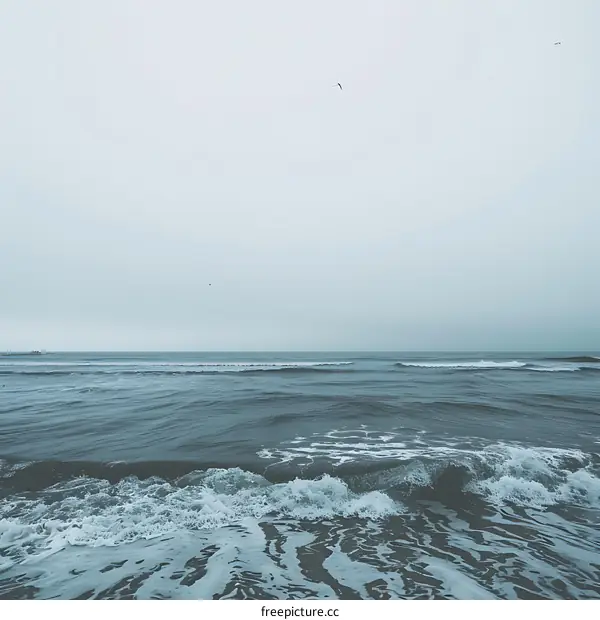 Ocean Waves Under a Cloudy Sky
