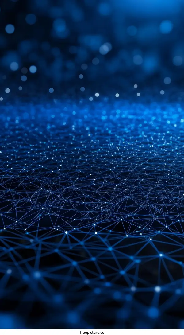 Abstract Network Connections