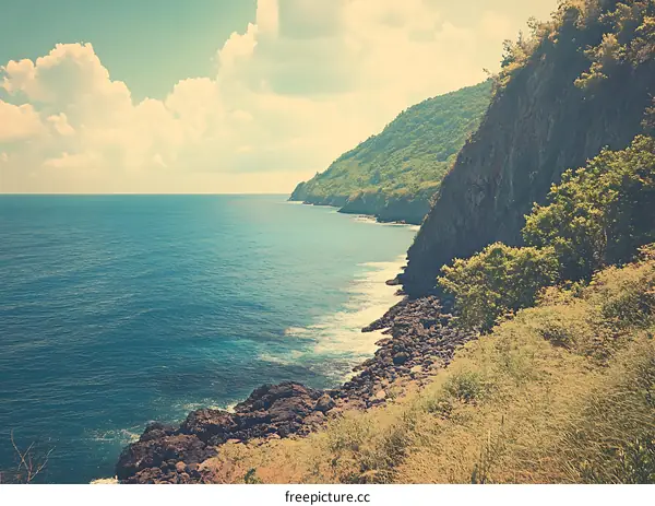 Scenic View of Ocean Coastline with Lush Greenery