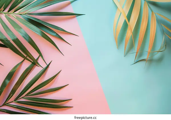 Green Palm Leaves on a Pink and Blue Background
