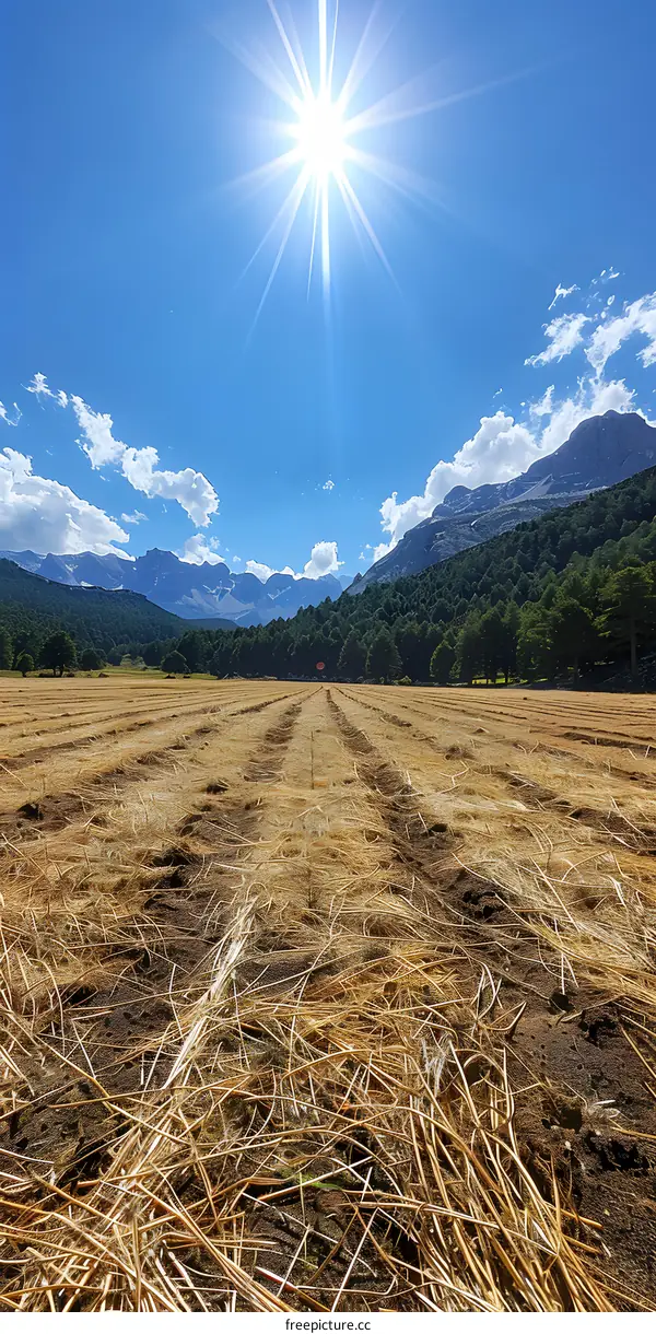 Sun Shining Over a Field of Hay