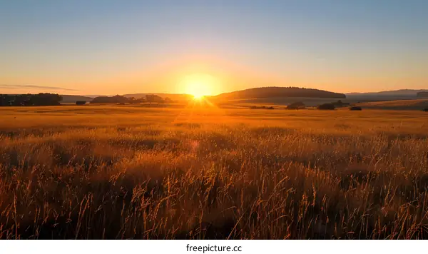 Golden Field Sunset Landscape With Sun Shining Through The Grass